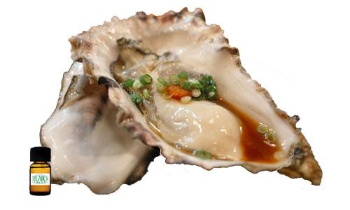 สารแต่งกลิ่นผสมอาหาร กลิ่นซอสหอยนางรม ( OYSTER FLAVOR )