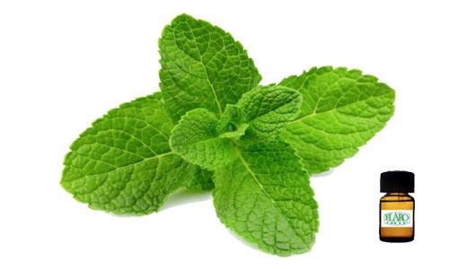 สารแต่งกลิ่นผสมอาหาร กลิ่นมิ้นท์ (MINT FLAVOR)