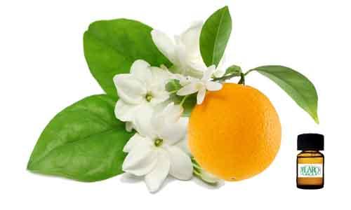 สารแต่งกลิ่นผสมอาหาร กลิ่น Jasmine Blossom (FLOWER   FLAVOR)