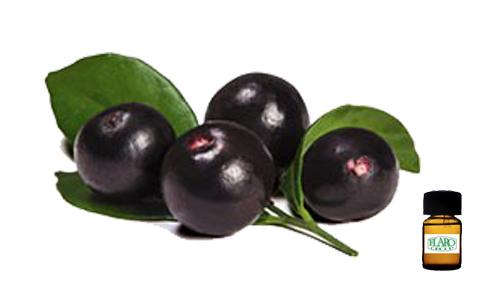 สารแต่งกลิ่นผสมอาหาร กลิ่นอาซาอิเบอร์รี่ Acai berry  (FRUIT   FLAVOR)