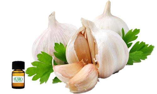 สารแต่งกลิ่นผสมอาหาร กลิ่นกระเทียม ( GARLIC  FLAVOR )