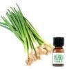 สารแต่งกลิ่นผสมอาหาร กลิ่นต้นหอม ( GREEN ONION FLAVOR )