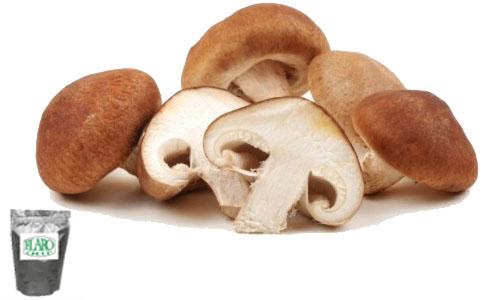 ผงปรุงรสแต่งกลิ่นผสมอาหาร รสเห็ดหอม ( ACCUREX MUSHROOM)