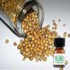 สารแต่งกลิ่นผสมอาหาร กลิ่นเม็ดผักชี ( CORIANDER SEED FLAVOR )