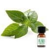 สารแต่งกลิ่นผสมอาหาร กลิ่นโหระพา ( BASIL FLAVOR )