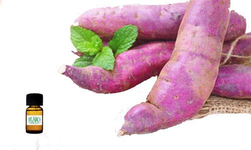 สารแต่งกลิ่นผสมอาหาร กลิ่นมันเทศสีม่วง ( YAM FLAVOR )