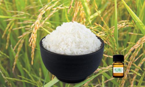 สารแต่งกลิ่นผสมอาหาร กลิ่นข้าวหอมมะลิ  (Rice Flavor)