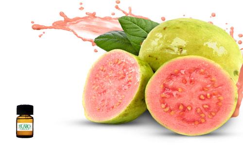 สารแต่งกลิ่นผสมอาหาร กลิ่นฝรั่ง ( GUAVA FLAVOR ) 