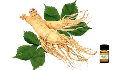 สารแต่งกลิ่นผสมอาหาร กลิ่นโสม  (GINSENG   FLAVOR)