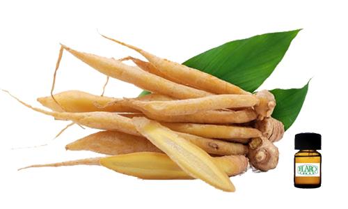 สารแต่งกลิ่นผสมอาหาร กลิ่นกระชาย Finger root  (HERB   FLAVOR)